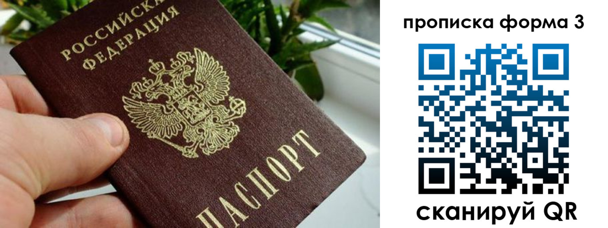 купить прописку в Миассе